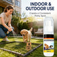 Potty Training Attractant Spray for Dogs