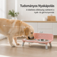 ✨🐶Magasított, levehető dupla etetőtál háziállatoknak