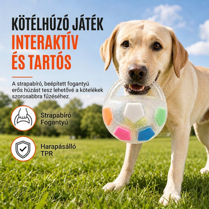 ⚽🐶✨ Interaktív focilabda kutyáknak fogantyúval